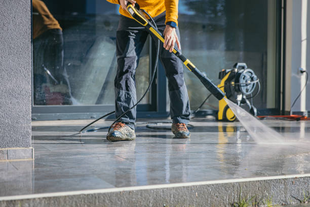 Best Exterior Home Cleaning  in Hoopeston, IL